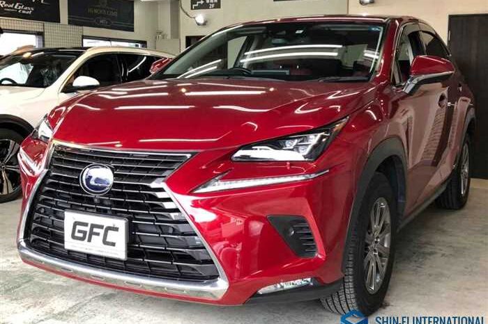 
								Lexus NX 2020 300h I-PKG 4WD full									