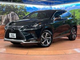 Lexus NX 2020 ＮＸ３００