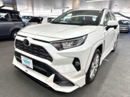 
										Toyota RAV4 2019 full									