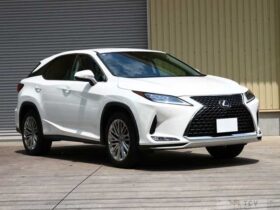 Lexus RX 2020 RX300