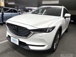 
										Mazda CX-8 2019 ★25T PROACTIVE★CD★DVD★Cruise control full									