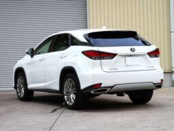 
										Lexus RX 2020 RX300 full									