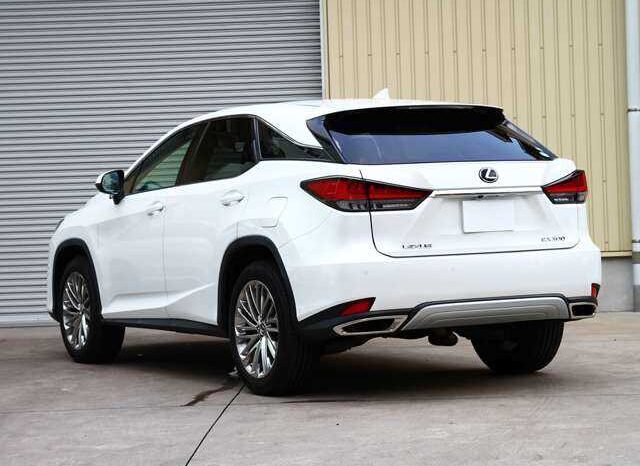 
								Lexus RX 2020 RX300 full									