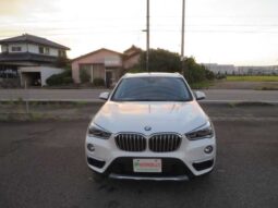 
										BMW X1 2019 x DRIVE 18D 4WD full									