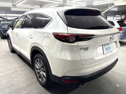 
										Mazda CX-8 2019 ★25T PROACTIVE★CD★DVD★Cruise control full									