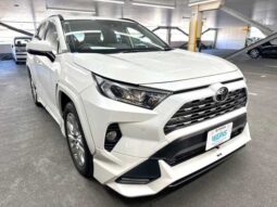 
										Toyota RAV4 2019 full									