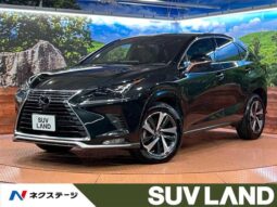 
										Lexus NX 2020 ＮＸ３００ full									