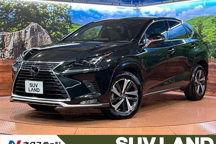 
								Lexus NX 2020 ＮＸ３００ full									