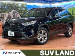 
										Toyota RAV4 2019 Ｘ full									