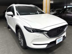 
										Mazda CX-8 2019 ★25T PROACTIVE★CD★DVD★Cruise control full									