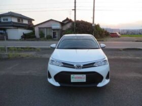 Used Toyota Corolla Fielder 2020 4WD EX 4WD EX