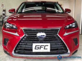 Lexus NX 2020 300h I-PKG 4WD