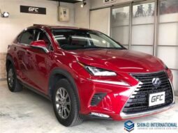 
										Lexus NX 2020 300h I-PKG 4WD full									