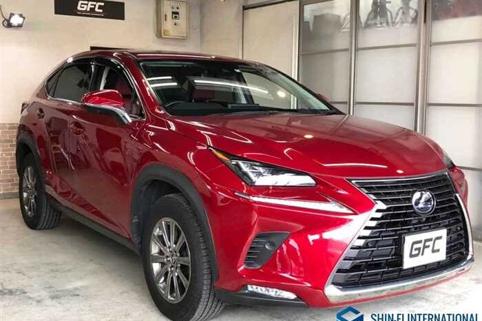 
								Lexus NX 2020 300h I-PKG 4WD full									