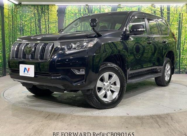 
								2019 TOYOTA LAND CRUISER PRADO TX full									